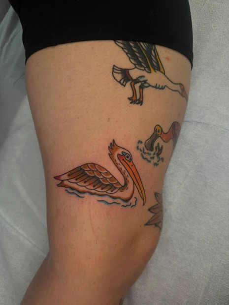 St. Pete Tattoo Artist Takes on Every Bird in Florida